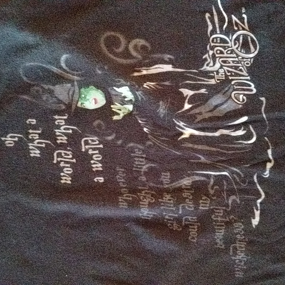 🎃 I’m Melting! Wizard of Oz Tee. Good condition. Sz S